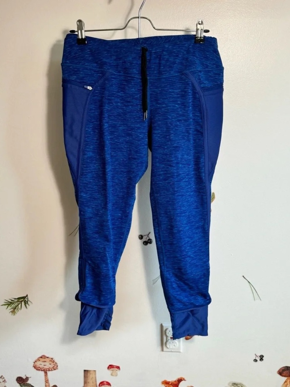 Women’s Straight Leg Athletic Pants in Royal Blue